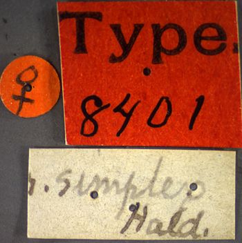Media type: image;   Entomology 8401 Aspect: labels